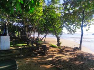 a beach with a statue and trees and the ocean at The Glown Weligama in Weligama