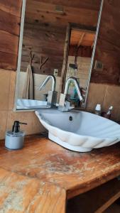 een badkamer met een witte wastafel en een spiegel bij Refugio Kallfuko, a great space with nature in Valdivia