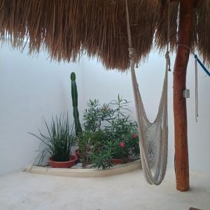 Zdjęcie z galerii obiektu Casa Loto A w mieście Chelem