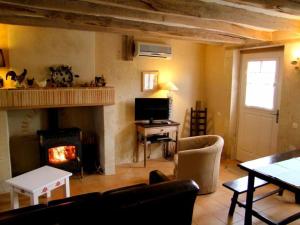 ein Wohnzimmer mit Kamin und Fernseher in der Unterkunft Gîte L'Orée du Bois : Charme Rural & Animaux Admis - FR-1-381-200 in Mazières-de-Touraine