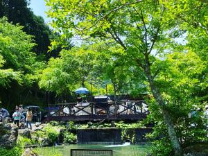 Naturlandskabet i nærheden af campingpladsen