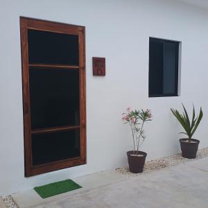 a door and two plants on a white wall at Casa Loto D in Chelem +22 photos
