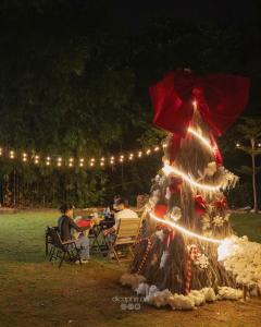 ein Weihnachtsbaum in einem Park in der Nacht in der Unterkunft LIA Retreat & Coffee 