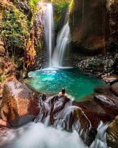 Naturlandskabet i nærheden af lejligheden