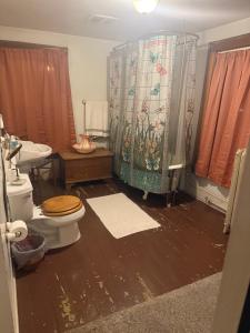 ein Badezimmer mit Toilette und Duschvorhang in der Unterkunft Historic Rider's Inn in Mentor