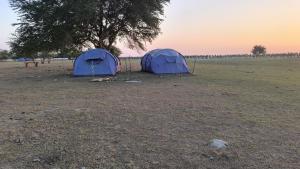 Ảnh trong thư viện ảnh của The Red Crab Tarua Beach Resort & Restaurant 