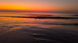 Phong cảnh thiên nhiên gần lều trại sang trọng