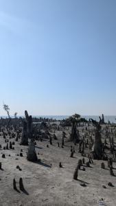 Phong cảnh thiên nhiên gần lều trại sang trọng