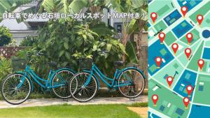 Cykling ved palm tree eller i nærheden