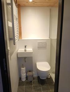 ein kleines Badezimmer mit Toilette und Waschbecken in der Unterkunft Oude-Tonge holiday house near fishing waters in Oude-Tonge + 48 Fotos