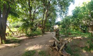 eine unbefestigte Straße durch einen Wald mit Bäumen in der Unterkunft Eco Shamba Kilole Lodge in Utende + 8 Fotos