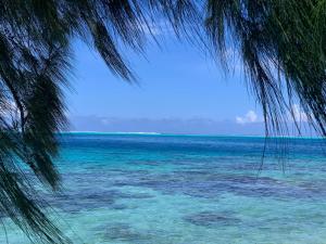 a view of the ocean from under a palm tree at Lemon House Huahine in Maroe