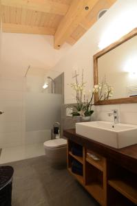 bagno con lavandino, servizi igienici e specchio di Griesbachhof a Oberndorf in Tirol