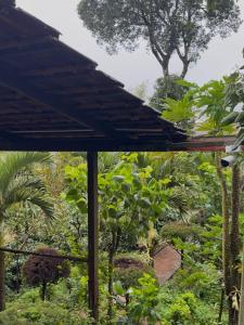 En have udenfor COFFEE ESTATE STAY COORg