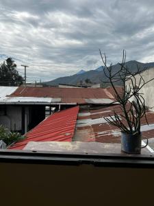 En generel udsigt til bjerge eller udsigt til bjerge taget fra lejligheden