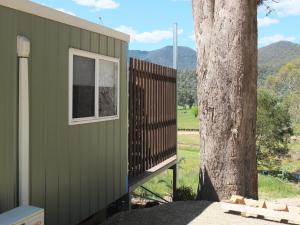 a small green building next to a tree at Little Birdy in Tawonga