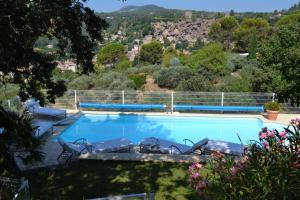 - une grande piscine avec 2 chaises longues dans l'établissement Tivoli en Provence, à Cotignac