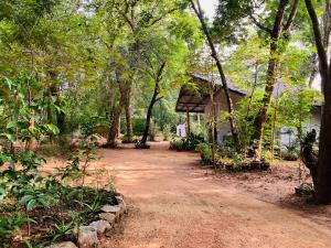 a dirt road in front of a house with trees at Joy Land Resort in Habarana