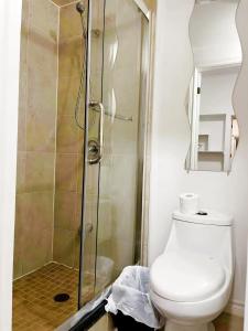 een badkamer met een toilet en een douche bij warm heart toronto in Toronto