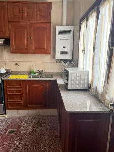 a kitchen with a sink and a microwave on a counter at CASA HORTENSIA in Salta +5 photos
