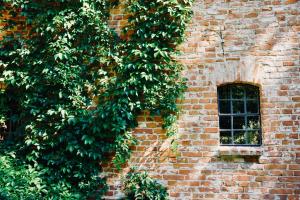 En have udenfor Dom Przemian