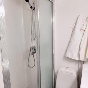 e bagno con doccia e servizi igienici. di Puisto mökki a Rauma