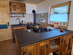 Køkken eller tekøkken på Cabin on Kobilica + 33 billeder