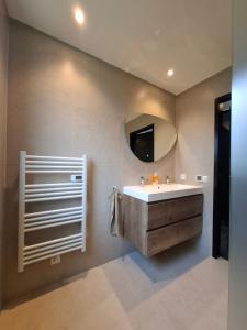 a bathroom with a sink and a mirror at La casa Pacha Mama Sauna en Hottub in Ewijk