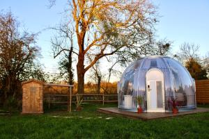 a dome house with a door in a yard at Maison Thalène - La Bulle in Aurseulles