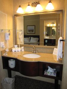 a bathroom with a sink and a large mirror at Holiday Inn Express Wenatchee, an IHG Hotel in Wenatchee