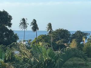 a view of the ocean from a resort with palm trees at Pink House Guest House Lamai - Pool & Sea View in Lamai