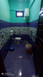 een badkamer met een toilet en een groene muur bij Tanishk Home Stay in Jāmb