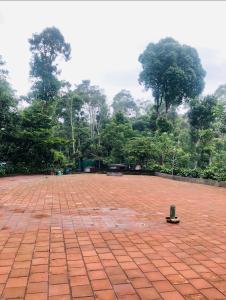 En have udenfor COFFEE ESTATE STAY COORg + 6 billeder
