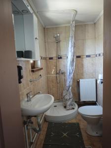 un bagno con lavandino, WC e doccia di Casa Crăciun a Mănăstirea Humorului Altre 22 foto