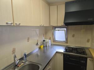 een keuken met een spoelbak en een fornuis bij Kobe Youth Hostel in Kobe +20 foto's