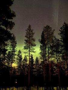 un gruppo di alberi di notte con un cielo verde di Kitka riverview retreat with sauna a Kuusamo