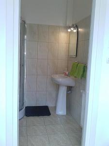 y baño con lavabo y ducha. en Guesthouse Daniel, en Oradea