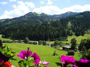 Fotografia z galérie ubytovania Haus Sonnenrose v destinácii Oberau