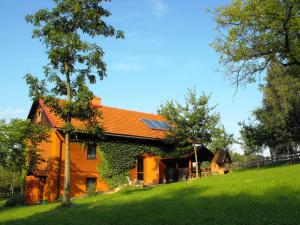 a house with an orange roof on a green field at Agroturystyka Zacisze Czarna Owca in Brzeżanka