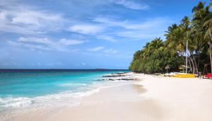 Příroda nedaleko rezortu