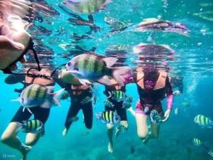 a group of people swimming in the water at The Sunshine hostel and hotel in Ko Lanta