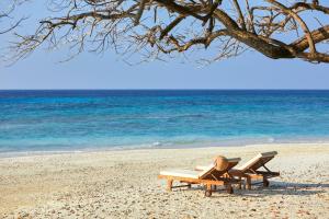 Příroda nedaleko rezortu