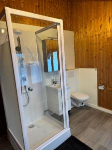 a bathroom with a shower and a toilet at Valley Apartment in Matten