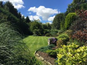 A garden outside Beechwood B and B 