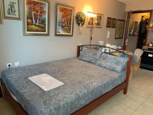 Ένα ή περισσότερα κρεβάτια σε δωμάτιο στο Holidays Pelion studio