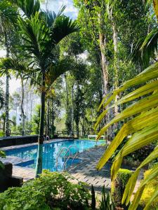 einen Pool in einem Park mit Palmen in der Unterkunft Happy Feet Wayanad in Vaduvanchal