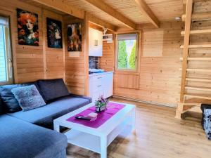 un soggiorno con un divano e un tavolo di Apartamenty Żywiec a Żywiec