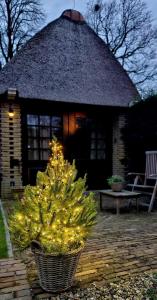 a christmas tree in a basket in front of a house at Kleine Buur in Warnsveld