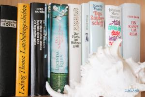 een rij boeken op een plank met een stapel wit haar bij Haus Nautic Wohnung 615 in Döse