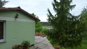 a green house with a tree next to a lake at Bungalow am Küstrinsee bei Lychen in Lychen